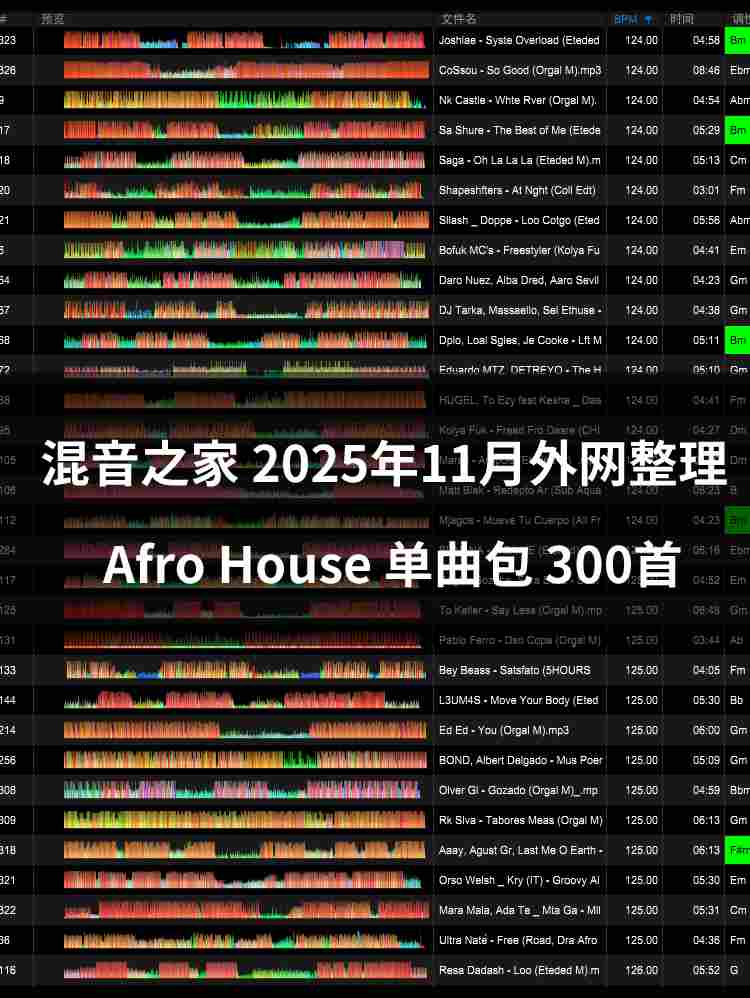 混音之家2025年11月外网整理 Afro House 300首 专业dj音乐包